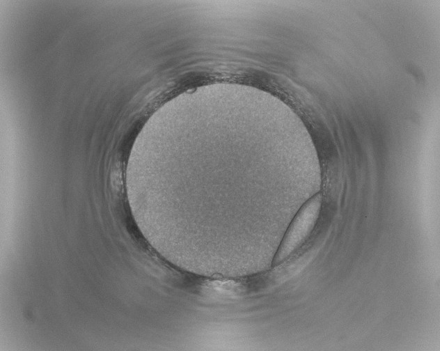 X0000115580137200912221056