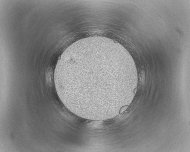 X0000115580138200912221056