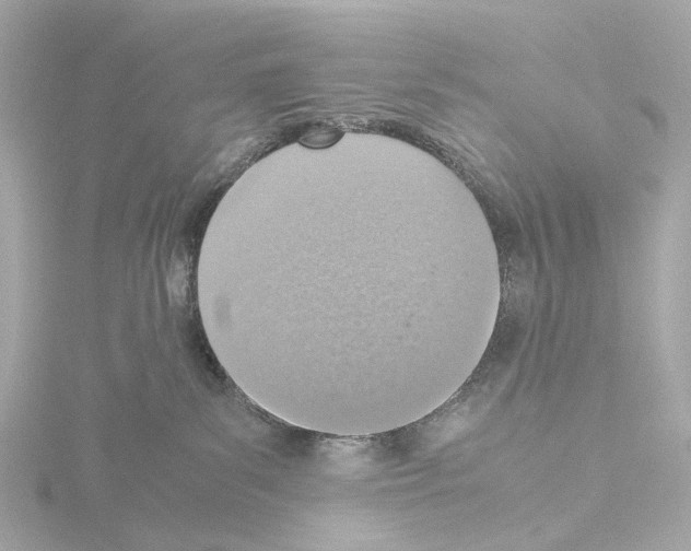 X0000115580139200912221056