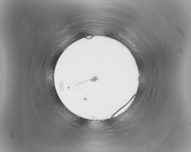 X0000115580141200912221056