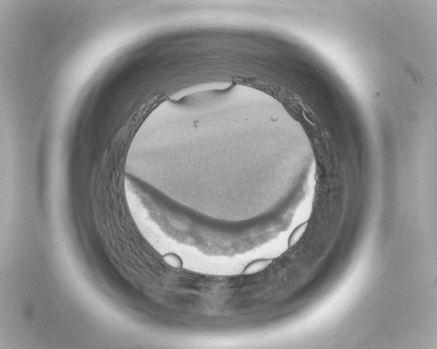 X0000115580143200912221056