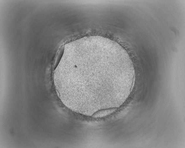 X0000115580144200912221056