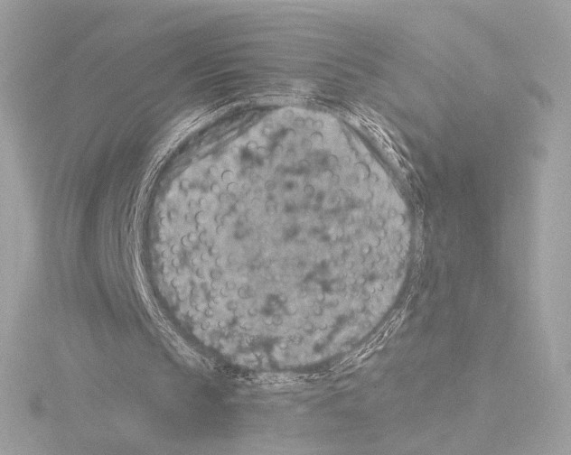 X0000115580145200912221055