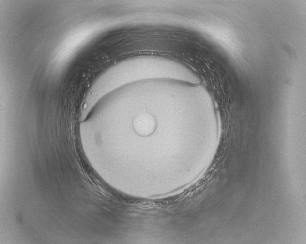 X0000115580146200912221055