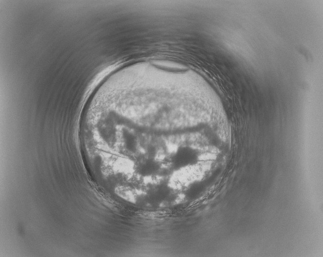 X0000115580147200912221055