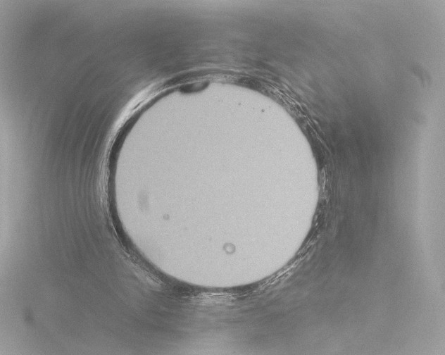 X0000115580150200912221055