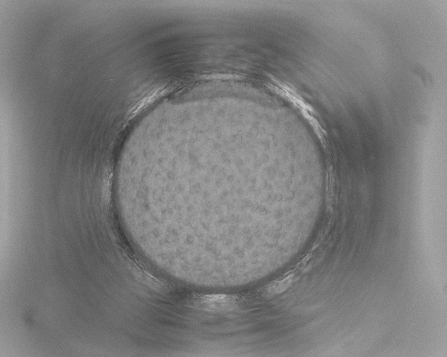 X0000115580153200912221055