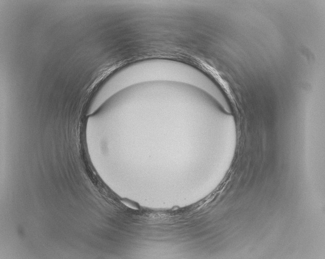 X0000115580154200912221055