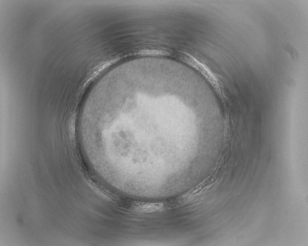 X0000115580155200912221055