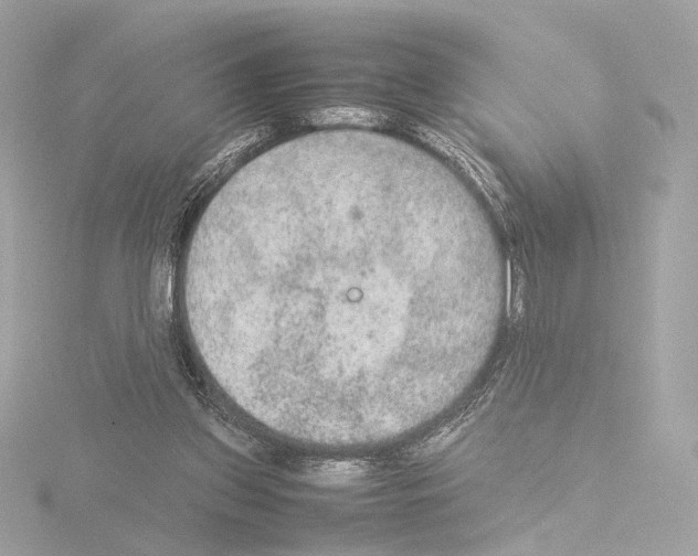 X0000115580157200912221056