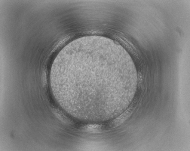 X0000115580158200912221056