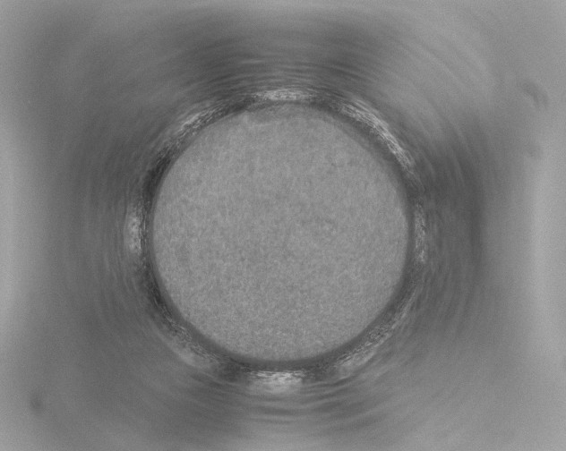 X0000115580161200912221056