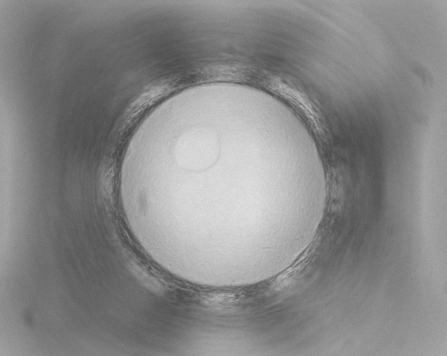 X0000115580162200912221056