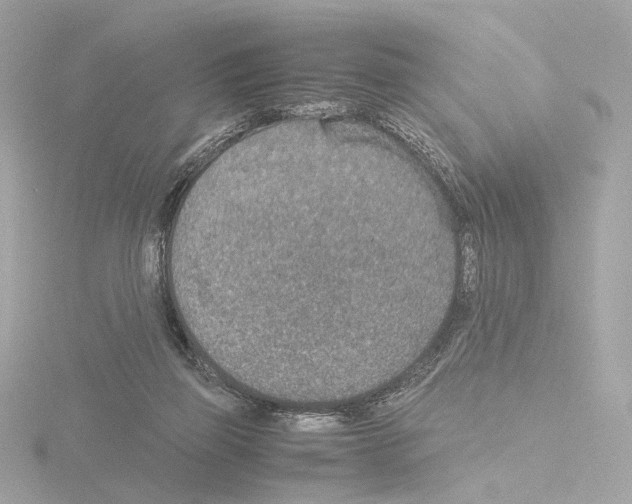 X0000115580165200912221056