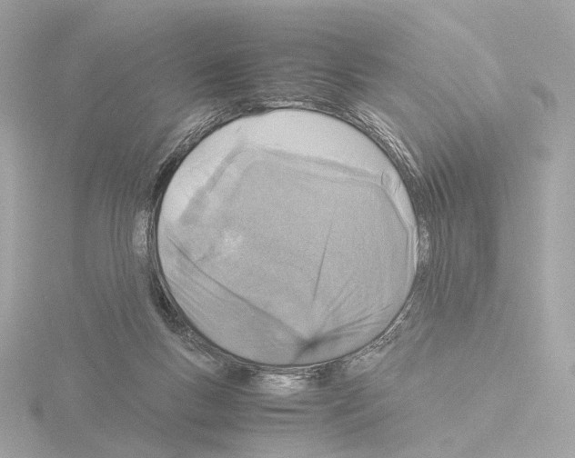 X0000115580167200912221056