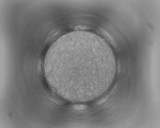 X0000115580169200912221056