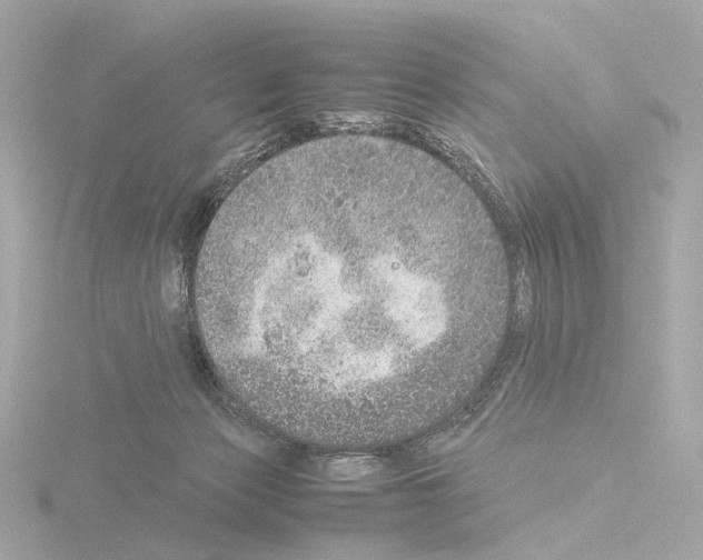 X0000115580173200912221056