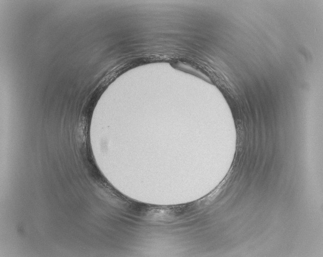 X0000115580174200912221056