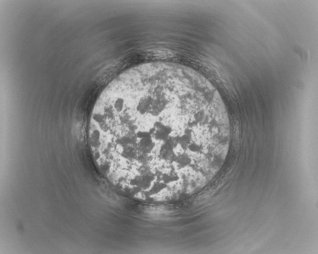 X0000115580177200912221056