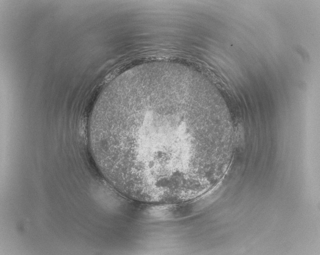 X0000115580178200912221056