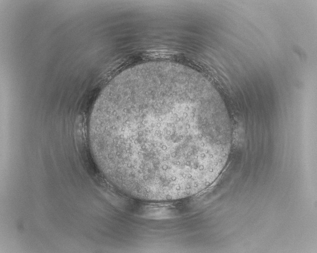 X0000115580179200912221056