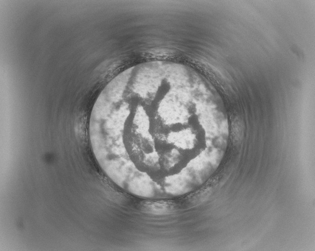 X0000115580181200912221056