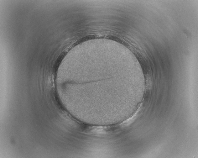 X0000115580182200912221056