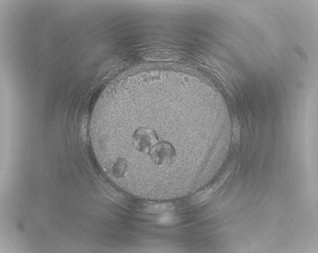 X0000115580185200912221056