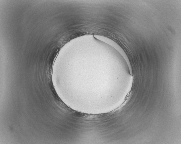 X0000115580186200912221056