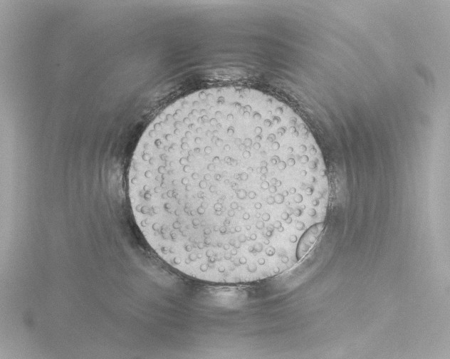 X0000115580187200912221056