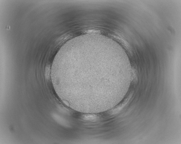 X0000115580189200912221056