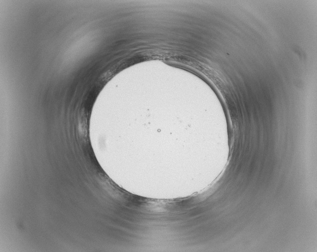 X0000115580190200912221056