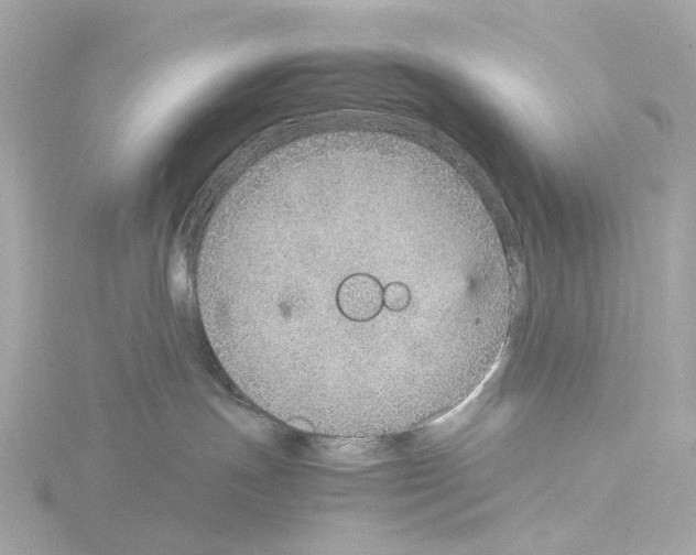 X0000115580191200912221056