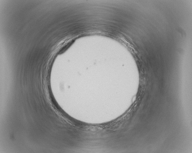 X0000115580193200912221055