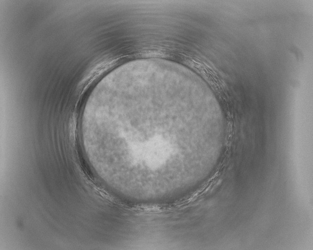 X0000115580194200912221055