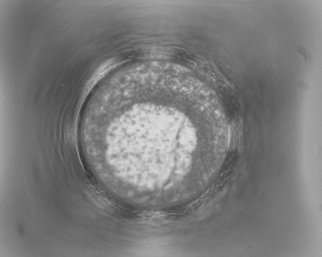 X0000115580195200912221055