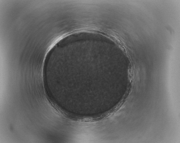 X0000115580196200912221055