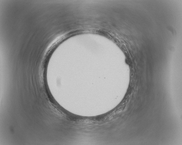 X0000115580197200912221055