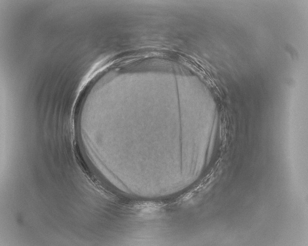 X0000115580198200912221055