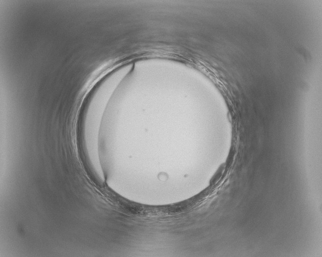 X0000115580199200912221055