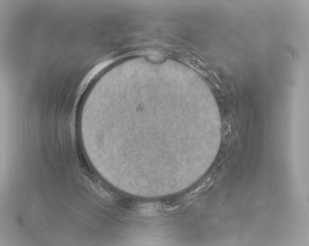 X0000115580200200912221055