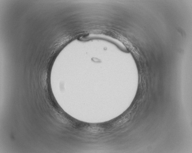 X0000115580201200912221055