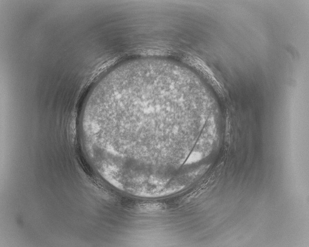 X0000115580202200912221055