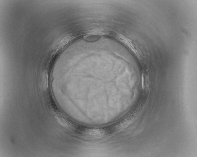 X0000115580205200912221055