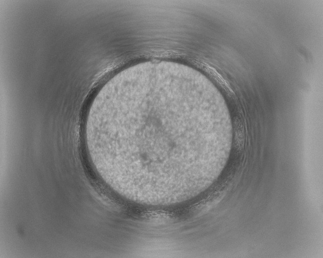 X0000115580207200912221055