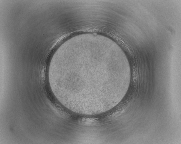 X0000115580208200912221055