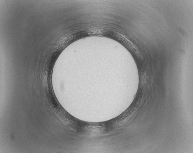 X0000115580209200912221055