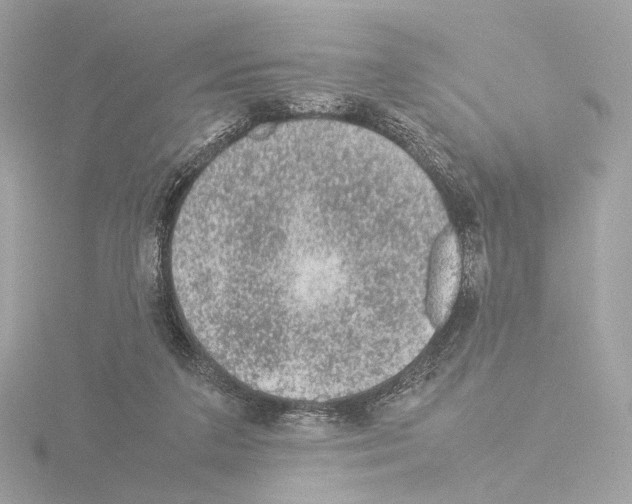 X0000115580211200912221055