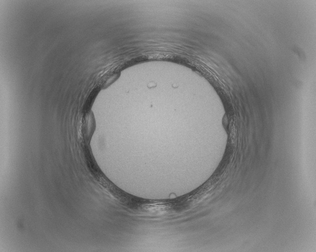 X0000115580219200912221055