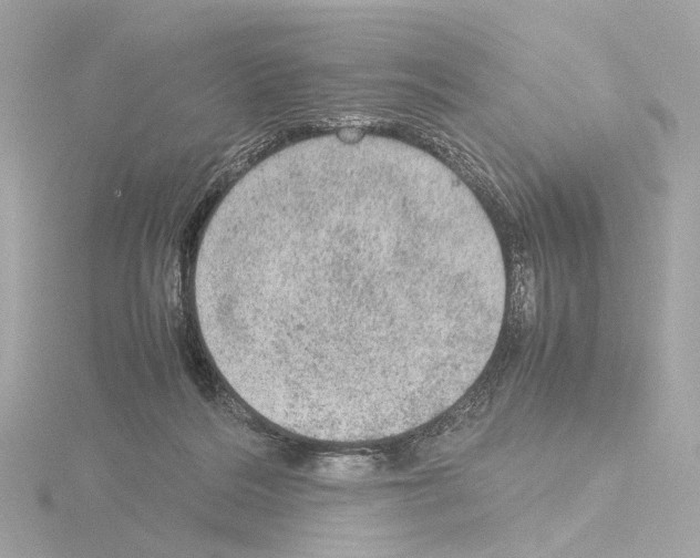 X0000115580220200912221055